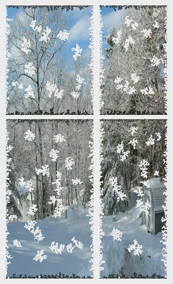 Winter Frost Drawing