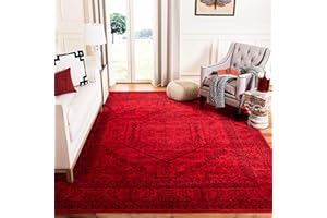 SAFAVIEH Adirondack Collection Area Rug - 9' x 12', Red & Black, Oriental Medallion Design, Non-Shedding & Easy Care, Ideal for High Traffic Areas in Living Room, Bedroom (ADR108F)