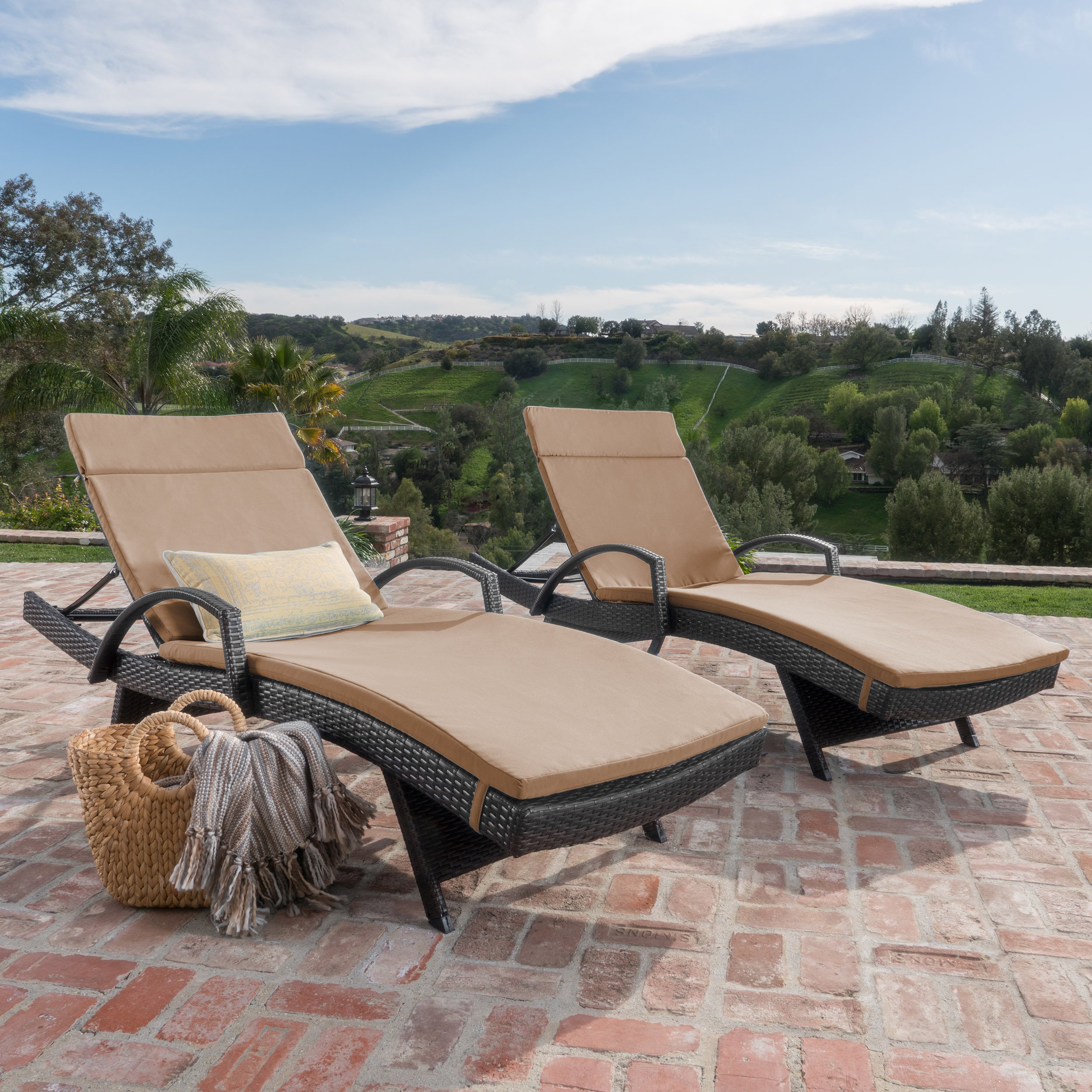 Olivia Patio Furniture ~ Outdoor Wicker Caramel Cushion (Set of 2)