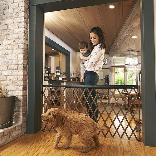 Evenflo Expansion Walk-Thru Room Divider Baby Gate (Farmhouse
