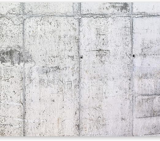 Murando Fototapete Betonoptik 350x256 Cm Vlies Tapeten Wandtapete Xxl Moderne Wanddeko Design Wand Dekoration Wohnzimmer Schlafzimmer Buro Flur Grau F A 0332 A A Amazon De Baumarkt