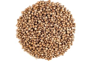 VALLEY OF TEA Coriander Seed Organic Gourmet Quality - Cilantro Seeds For Elevating Dishes - Organic Cilantro Corriander Corrriander Corrinder Corriandar Corrander Corrinader Corriandor Corrinander Corriender