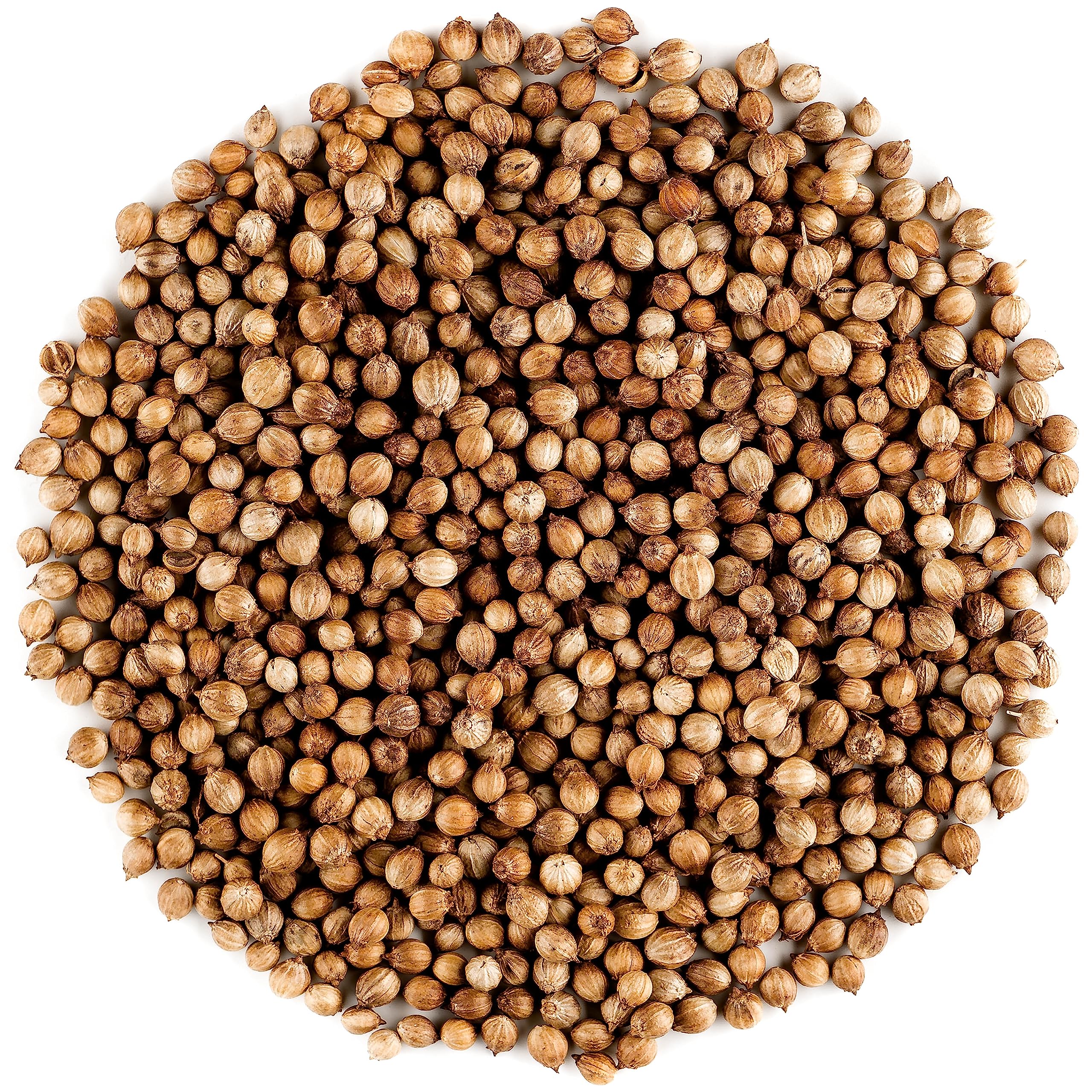 Coriander Seed Organic Gourmet Quality - Cilantro Seeds for Elevating Dishes 200g