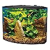 10 Best Betta Fish Tanks - A1NODh6iZ6L. AA100 10 Best Betta Fish Tanks - A1NODh6iZ6L. AA100