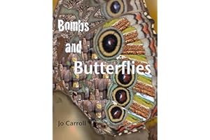 Bombs and Butterflies: Over the Hill in Laos