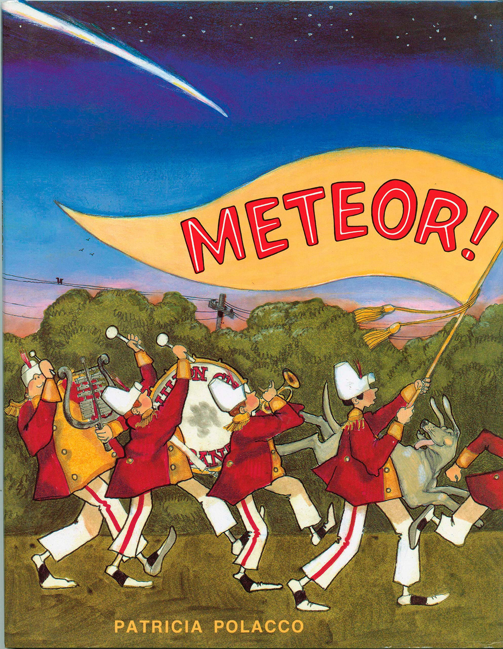 Meteor Polacco Patricia 9780698114104 Amazon Com Books