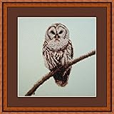 Owl on Branch Counted Cross Stitch Kit By Orcraphics