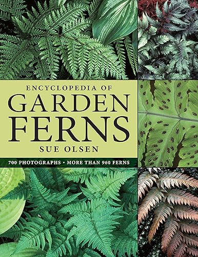 Download Encyclopedia of Garden Ferns PDF