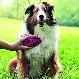 KONG ZoomGroom Dog Brush for Grooming and Shampooing Large Dogs Blue view 2