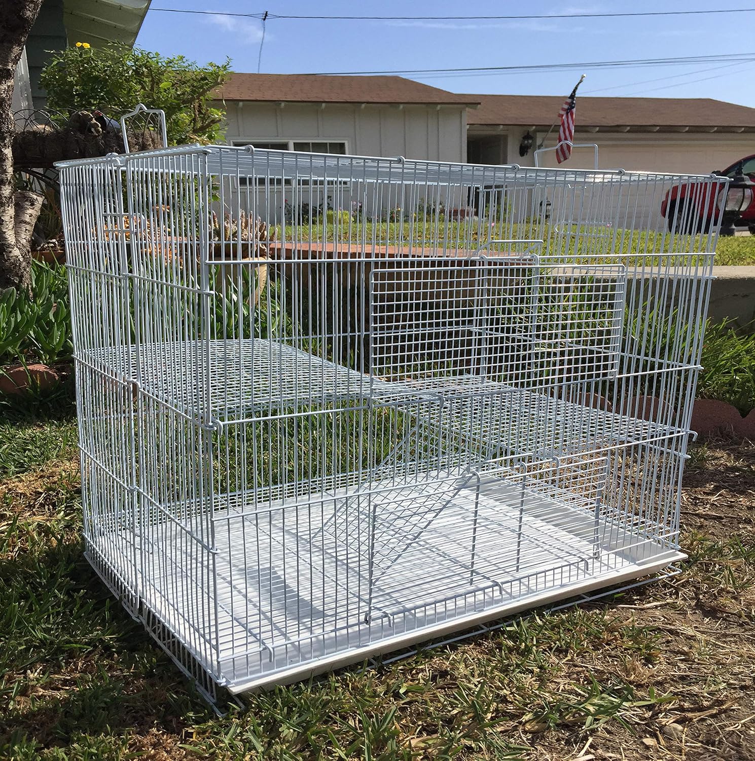 multi level cage for guinea pigs