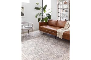 Loloi Skye Collection, SKY-01, Grey / Apricot, 9'-0" x 12'-0", .13" Thick, Area Rug, Soft, Durable, Vintage Inspired, Distressed, Low Pile, Non-Shedding, Easy Clean, Printed, Living Room Rug