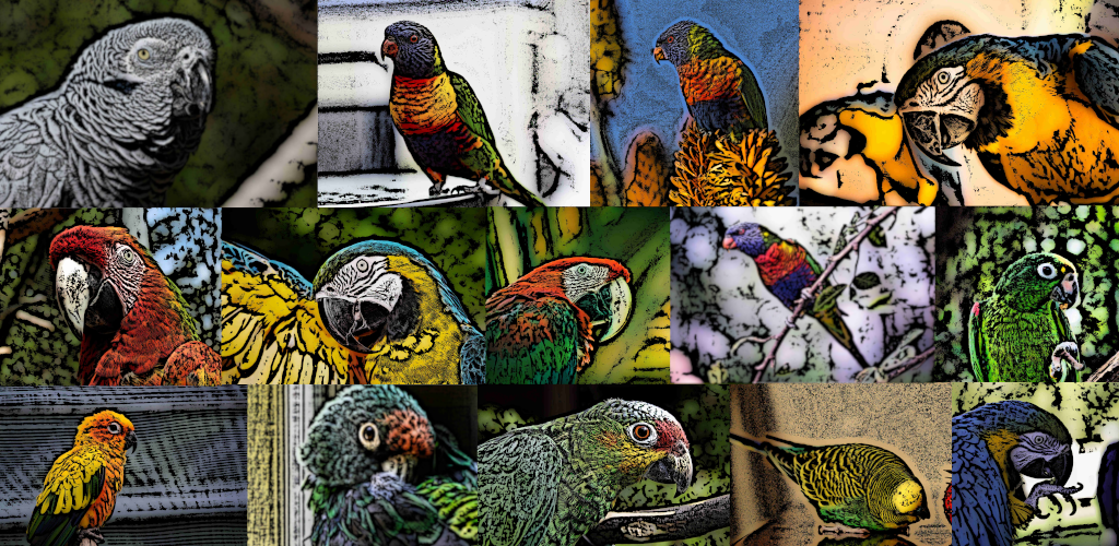 Exotic Birds Wallpaper Art (HD)