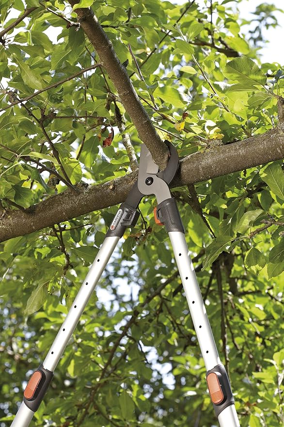 Desbrozadora: Amazon.es: Bricolaje y herramientas