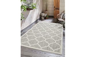 Adiva Rugs Outdoor Indoor Area Rug, Weather Resistant, Easy to Clean, Stain Resistant Floor Mat for Dining Room, Backyard, Deck, Patio (Silver Weiss, 7'10" x 10')