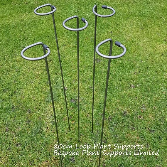 Metal Plant Supports Loop Stakes 5 pack 80cm, 100cm or 130cm tall (80cm