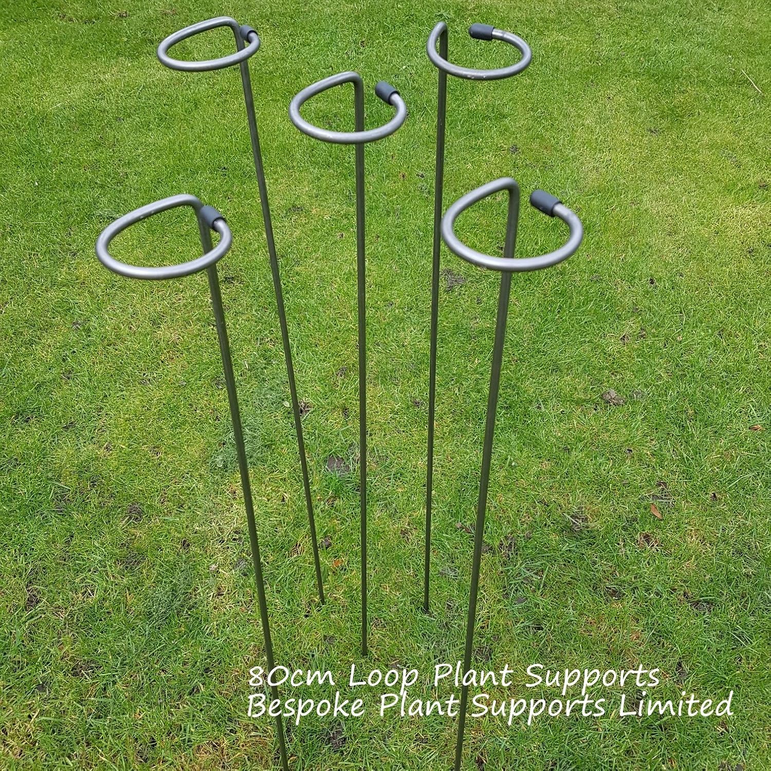 Garden & Outdoors 100cm or 130cm tall Metal Plant Supports Loop Stakes