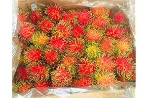 KEJORA Fresh Sweet Rambutans (2 lbs)