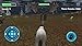 Arctic Polar Bear
