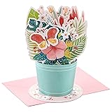 Hallmark Paper Wonder Pop Up Card