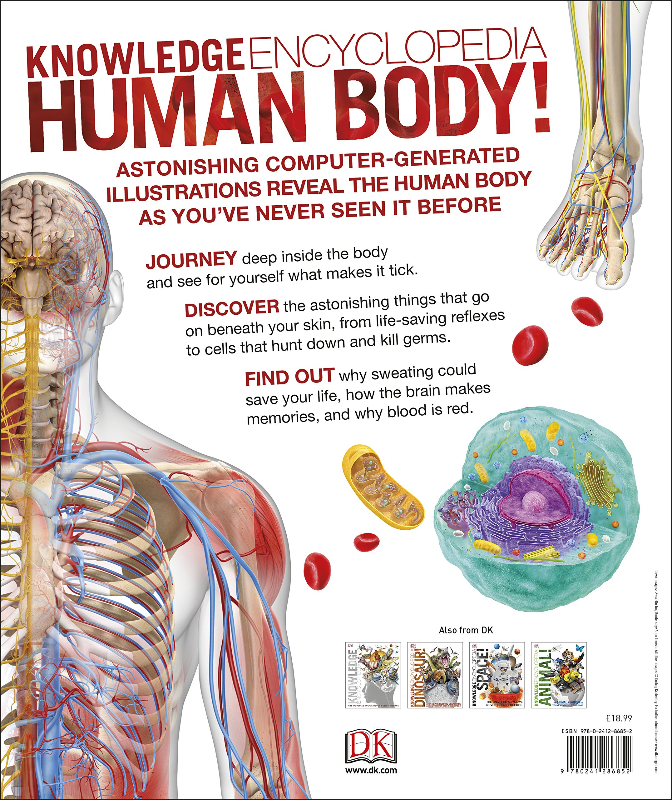 Knowledge Encyclopedia Human Body Smiljka Surla - 