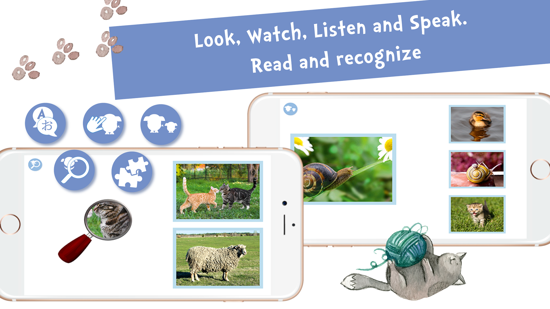 Sami Tiny Flash Cards Animals preschool kids apps, 30 animals flashcards tinycards for toddlers