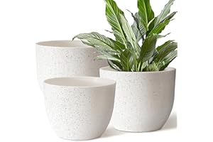 Giraffe Creation 12/10/9 Set of 3 Speckled White Plant Pots, Modern Indoor & Outdoor Planters with Drainage Holes and Saucers