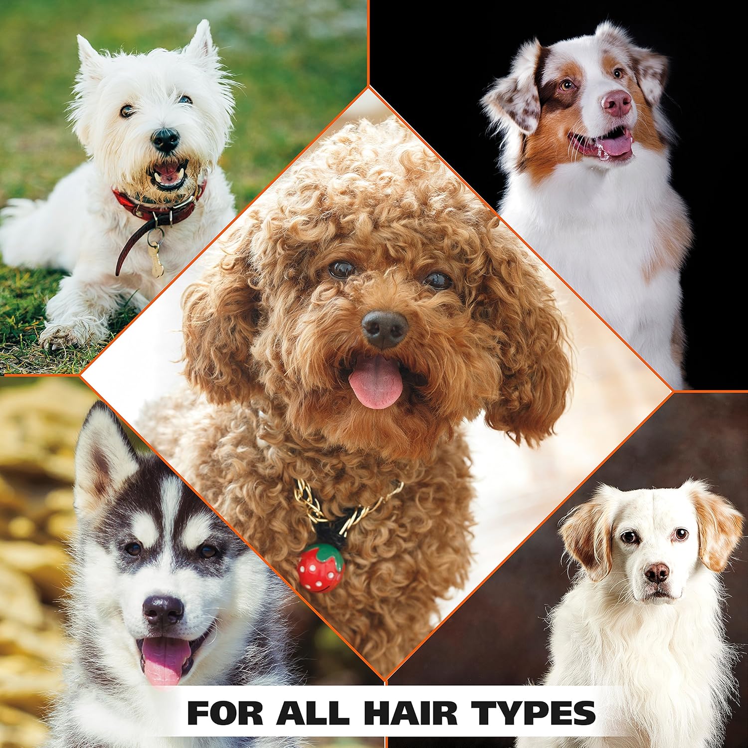 Pet Shampoos Plus Conditioners : Wahl 4-In-1 Calming Pet Shampoo – Cleans, Conditions, Detangles & Moisturizes with Lavender Chamomile & 100% Natural Ingredients - 24 oz (820000A)