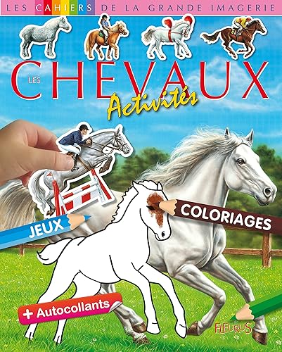 Download Les chevaux : Activités PDF