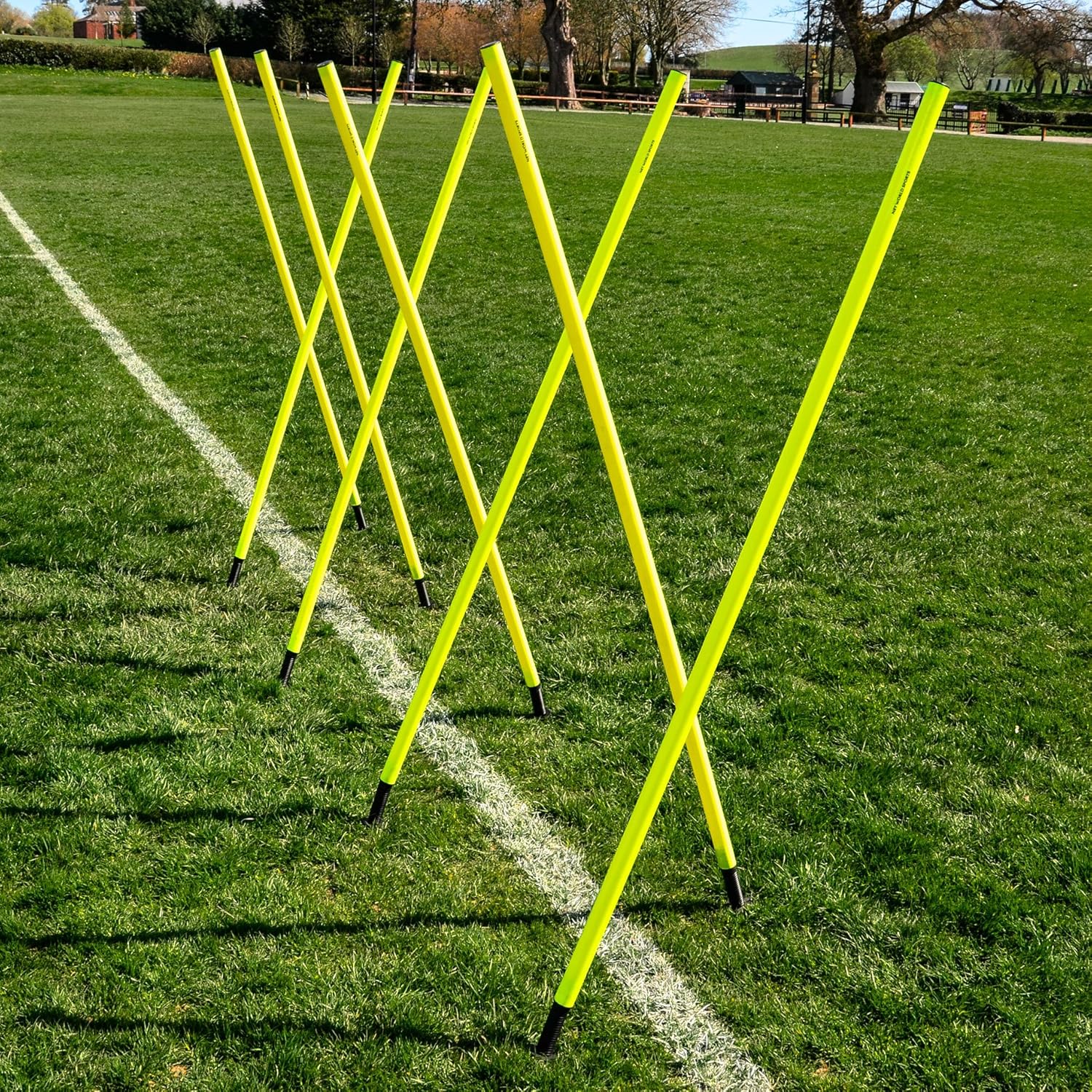 slalom poles