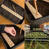 Deerstone Bamboo Seed Planting Ruler & Mini Dibber Set 12 Inch Vegetable view 5