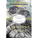 Water over Stones: A Novel
