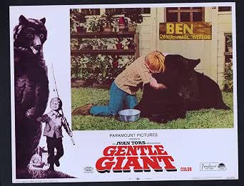 Beautiful 'gentle Giant' Died After Medication Withdrawn, Inquest Told Design Photography Beautiful 'gentle Giant' Died After Medication Withdrawn, Inquest Told Design Photography