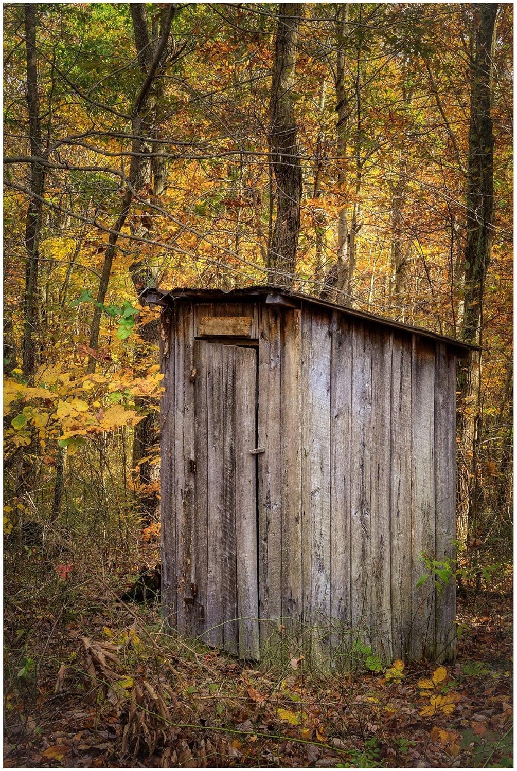Photographs - Outhouse Bathroom Decor Picture Fall Photo Rustic Country Farmhouse Print - Autumn Outhouse