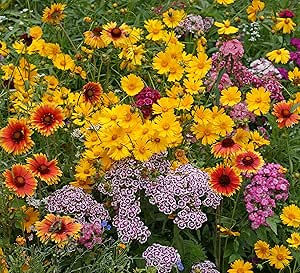 Amazon.com : Easy Garden Roll Out Flowers Butterfly and Hummingbird