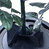 INTIGNIS Black Eternal Forever Rose | Preserved Gift for Women view 8