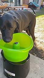 godoggo fetch machine reviews