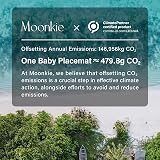 Moonkie Silicone Placemats for Baby Kids 2 Pack Warm Pink/Muted view 9