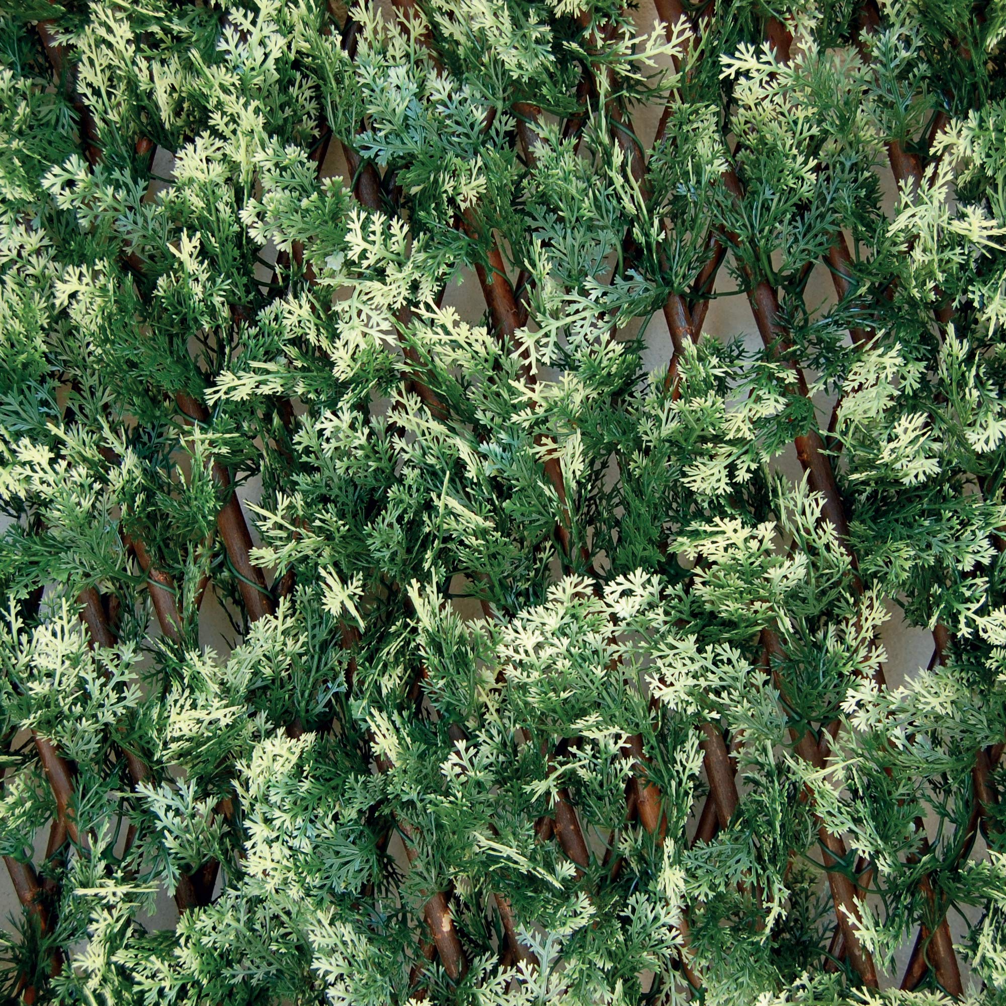 Tenax Artificial Hedge with Leaves Trellis Extensible in Willow, Divy 3D X-Tens Cyprus, 1x2 m, Green/White