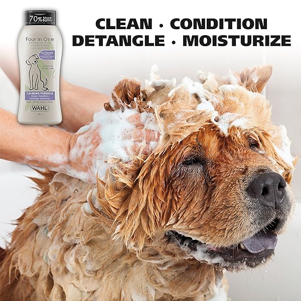 WAHL USA 4-IN-1 CALMING DOG SHAMPOO WITH LAVENDER CHAMOMILE SCENT – CLEANS, CONDITIONS, DETANGLES, & MOISTURIZES – PET FRIENDLY FORMULA – 24 OZ – MODEL 820000A