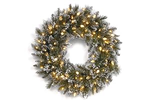 NATIONAL TREE COMPANY National Tree GB3-319-24W-6 24-Inch Glittery Bristle Pine Wreath with 50 Soft White LED Lights