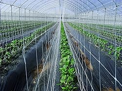 Tenax HORTONOVA SM, 59" x 3280', White