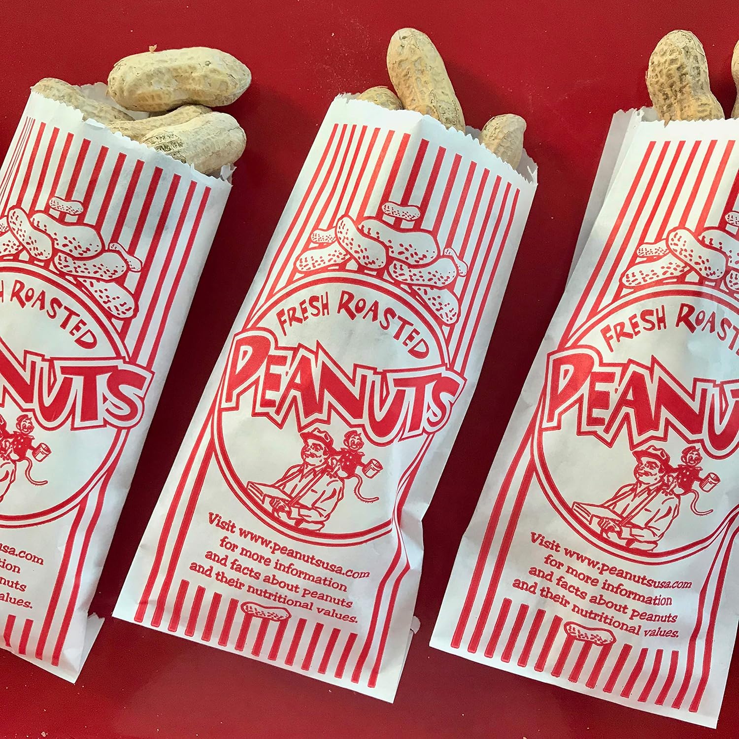 Shadow spinner important characters essay example 06 picture