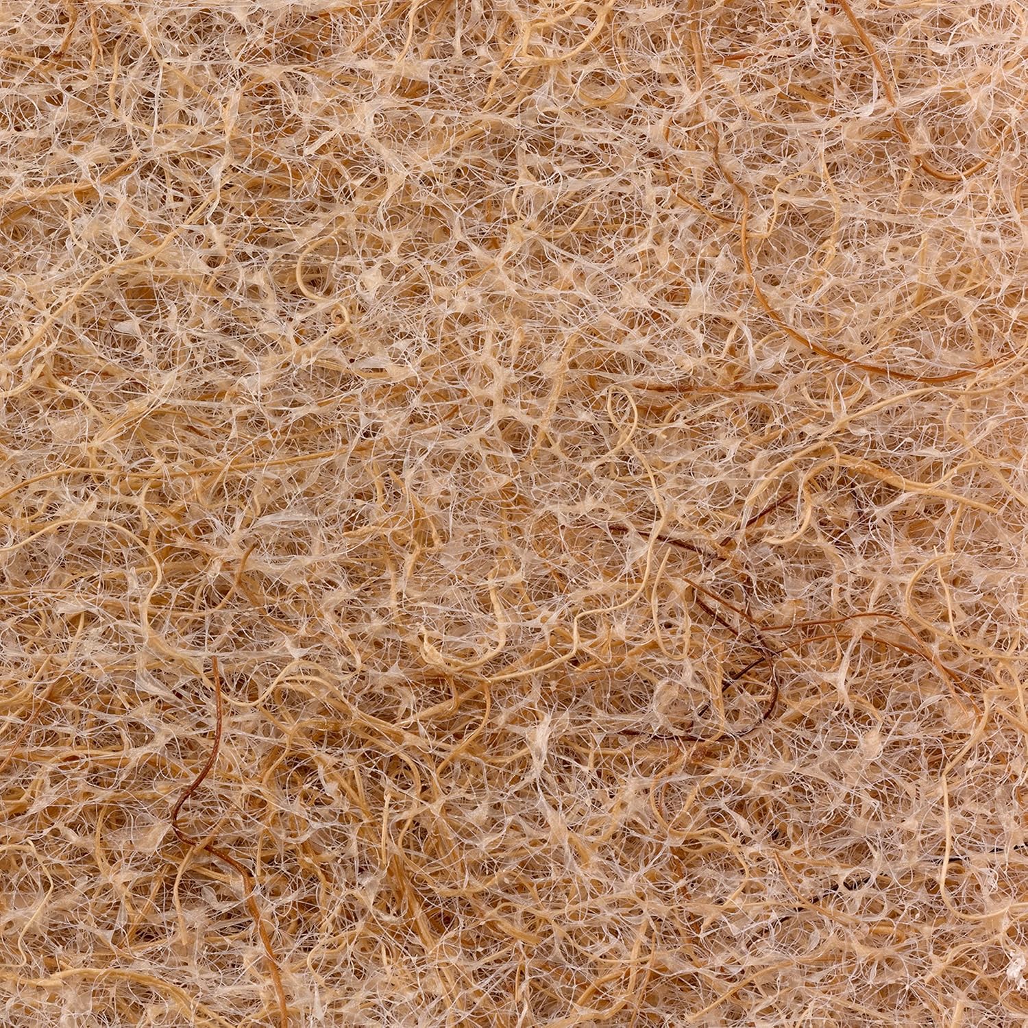 Scotch-Brite Greener Clean Non-Scratch Scrub Sponges, 6 Scrub Sponges: Health & Personal Care