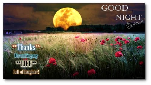 Good Morning Good Night Beautiful Flower Amazon Com Appstore For Android