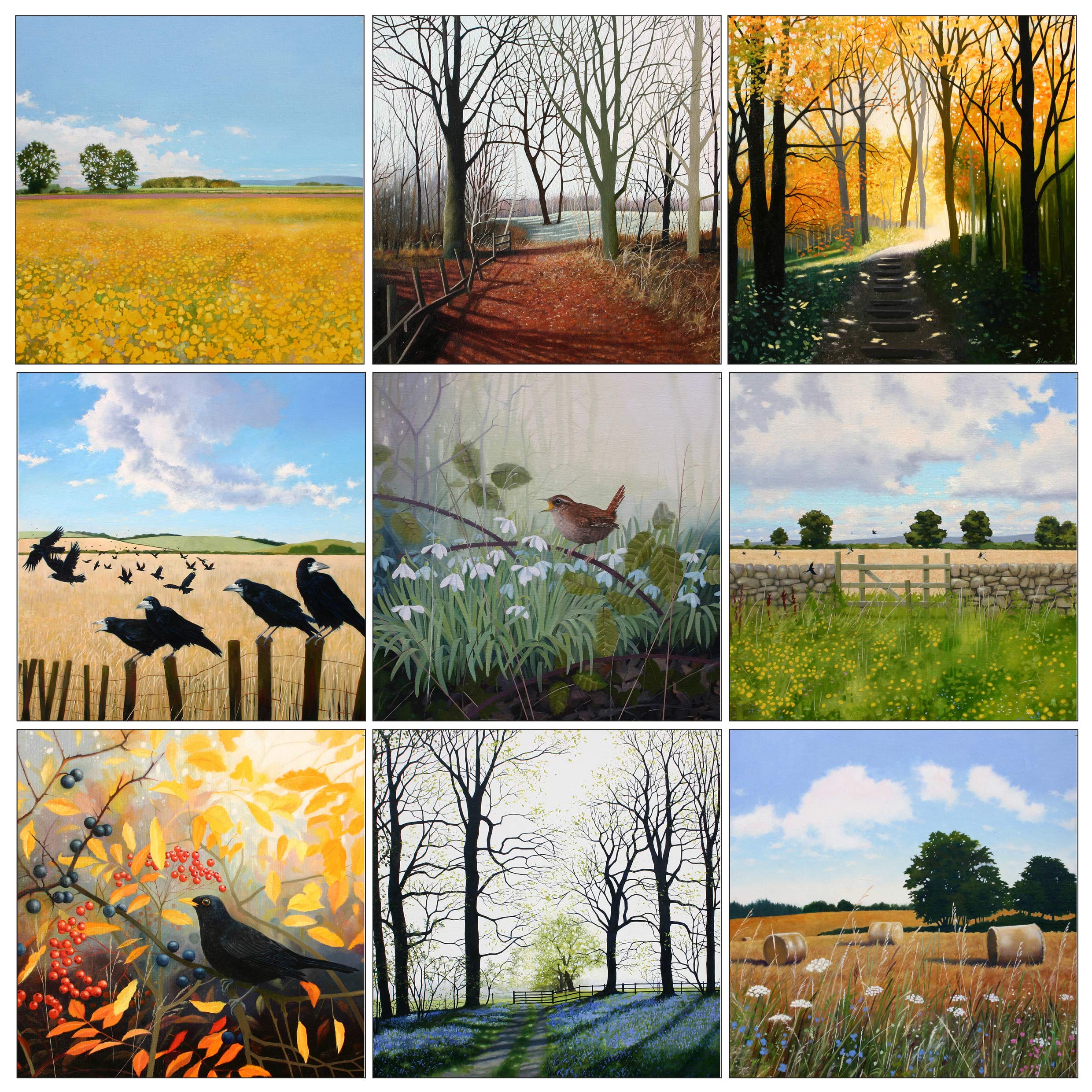 Heather Blanchard Landscape art greeting card multipack B. New series