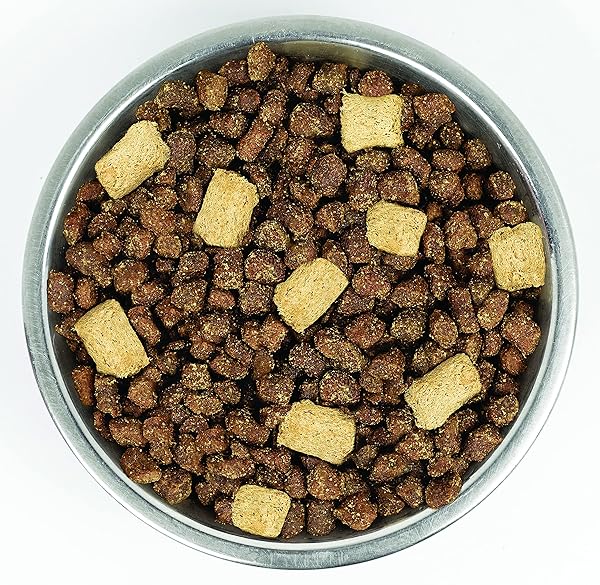 STELLA & CHEWY’S WILD RED DRY DOG FOOD RAW BLEND HIGH PROTEIN WHOLESOME GRAINS RED MEAT RECIPE, 3.5 LB. BAG