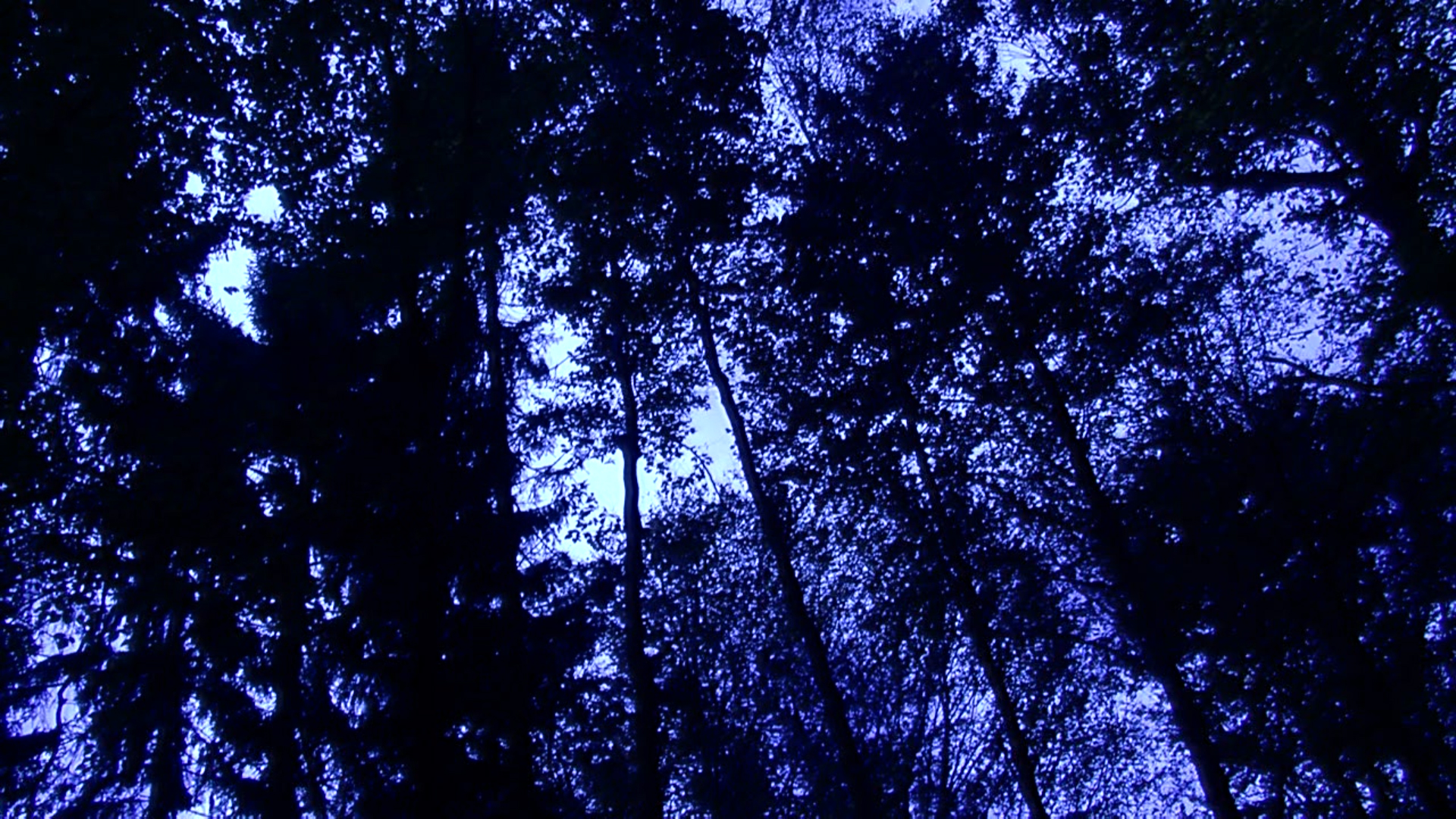 BOB-MEDIA Das kalte Herz von Wilhelm Hauff [audiovisual book] - Thumbnail 5