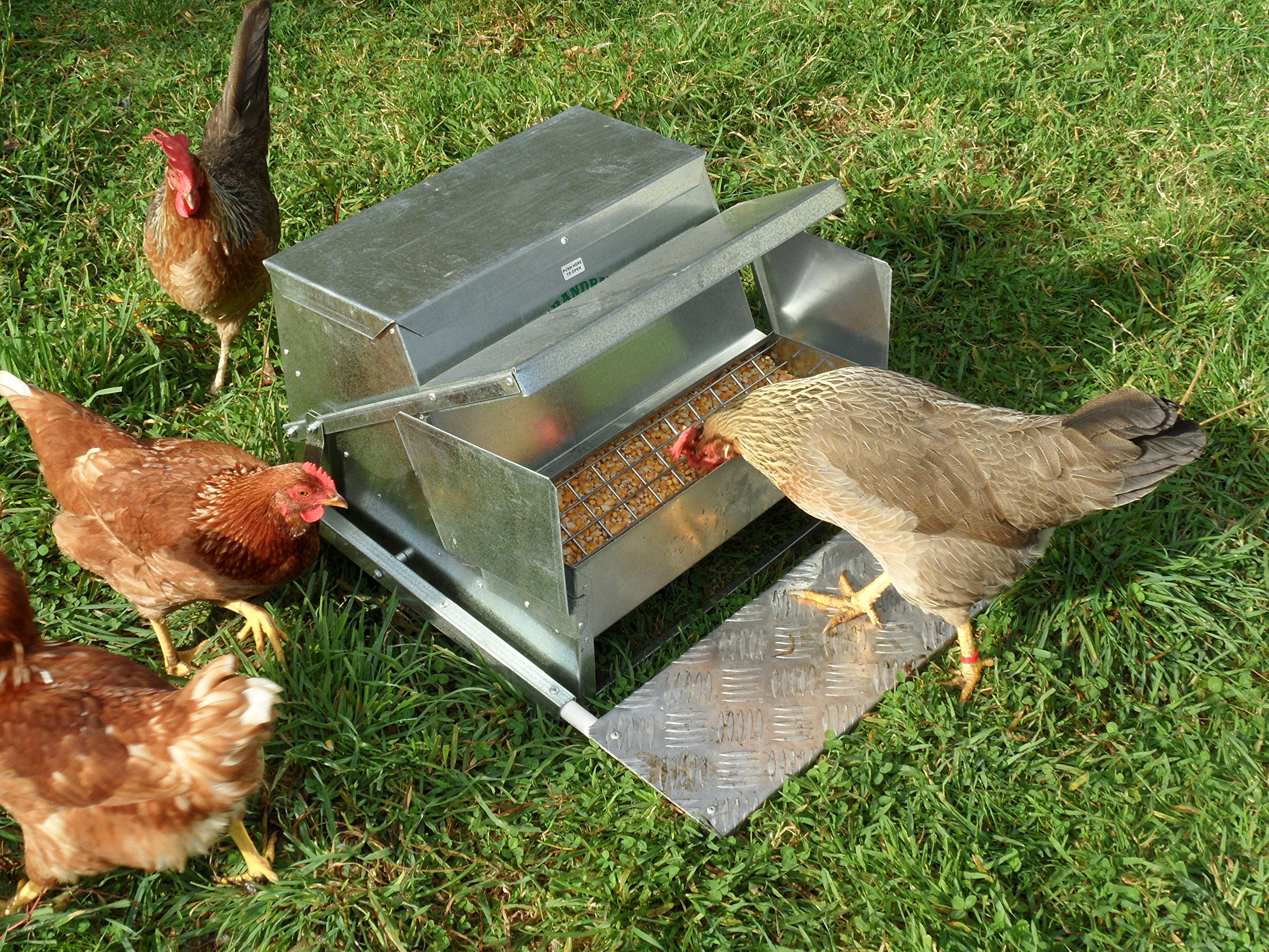Grandpa S Feeders Automatic Chicken Feeder Sturdy Galvanized