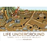 Life Underground: Tunnel into a World of Wildlife (DK Panorama)