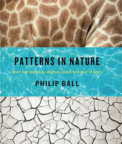 Download Patterns in Nature: Why the Natural World Looks the Way It Does (English Edition) PDF